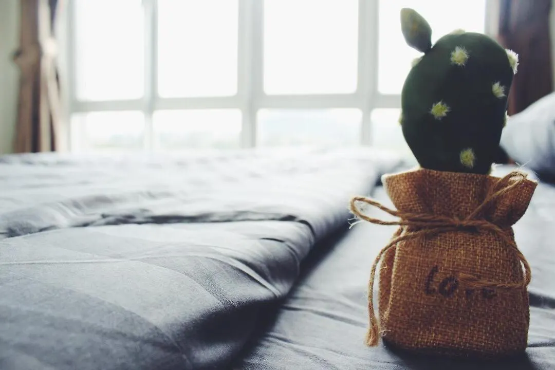 The Loft - Manhanttan Sovo, Taman Mount Austin By Cactus Homestay Johor Bahru 0*,  Malaisie